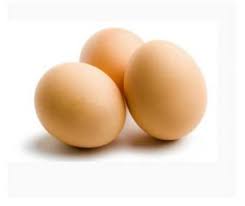 Производство яиц за семь месяцев возросло на 2,6%
