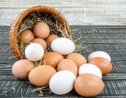 Производство яиц в январе-апреле 2019 составило 5,3 млрд. штук