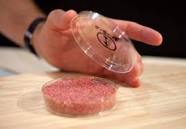 К 2040 году большая часть человечества перейдёт на искусственное мясо