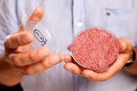 Первая страна разрешил продажу мяса, выращенного в лаборатории