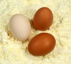 Экспорт яиц птицы без скорлупы составил 211 тонн в октябре