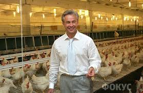 Крупнейший производитель курятины в Украине представил финансовый отчет