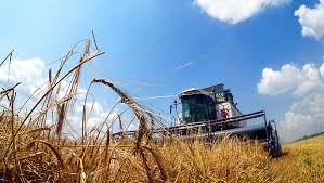 Мировое потребление зерновых в 2018/19 МГ вырастет — прогноз