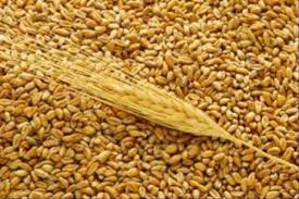 Мировые цены на зерновые растут