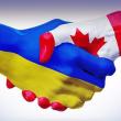 Канада відкрила доступ до ринку м’яса птиці для українських виробників