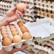 Мінагрополітики України оприлюднило для громадського обговорення проект наказу Про затвердження Вимог до курячих яєць