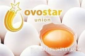 Компанія «Овостар Юніон» за січень-березень 2022 р. виробила 371 млн яєць